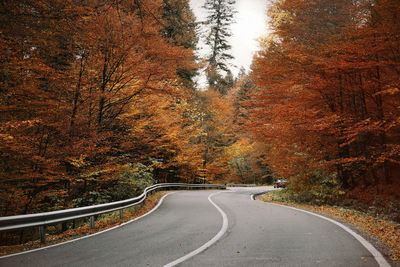 Empty road amidst trees during autumn