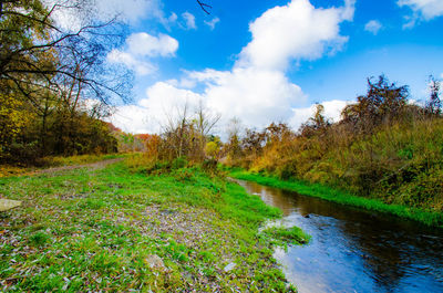 Scenic view of river amidst trees against sky