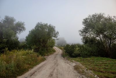 Road amidst trees against sky