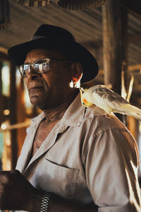 Serious african american male in black hat and sunglasses standing with cockatiel parrot on shoulder and looking away in sunlight