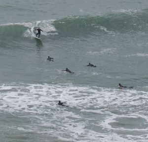 People swimming in sea