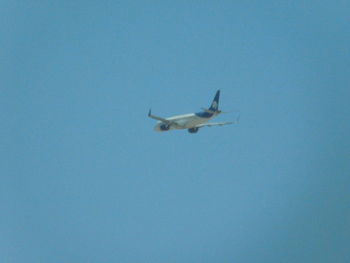 Low angle view of bird flying against clear sky