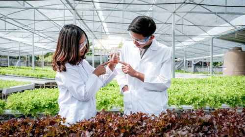 Woman standing in greenhouse