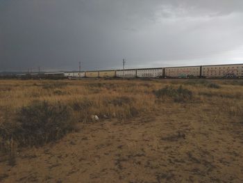 Scenic view of landscape against sky