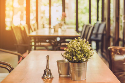 Potted plants on table at home