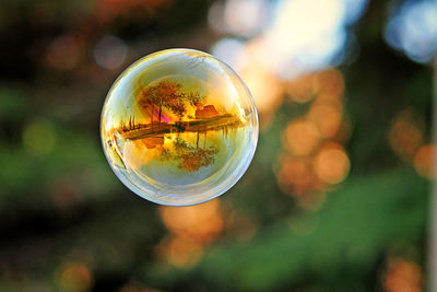 Close-up of crystal ball on glass