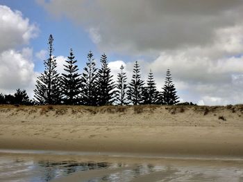 Scenic view of beach against sky