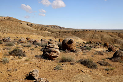 natural environment
