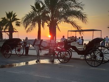 Bicycles parked on street at sunset