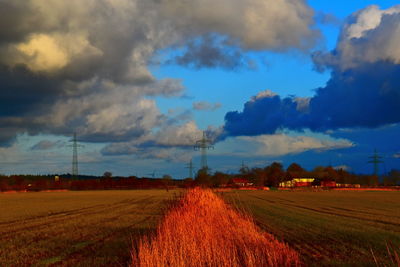 Scenic view of agricultural field against sky