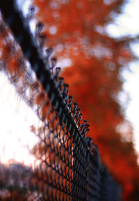 Low angle view of chainlink fence