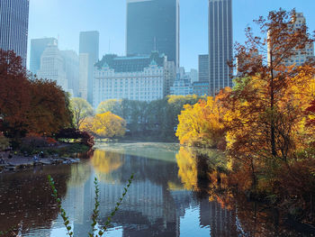 Sunlid trees by pond against buildings in city during autumn