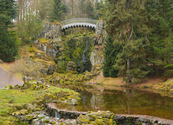 Arch bridge over stream amidst trees