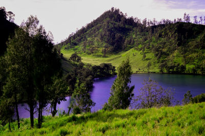 Scenic view of lake and trees against sky