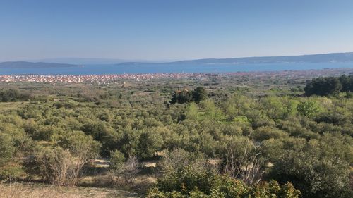 Scenic view of landscape against clear sky