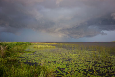 Scenic view of field against cloudy sky