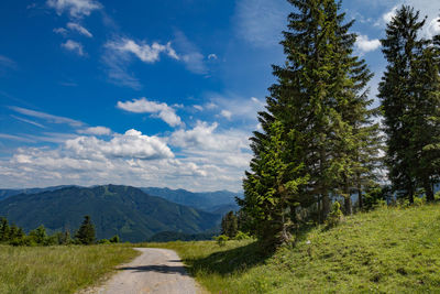 Road amidst green landscape against sky