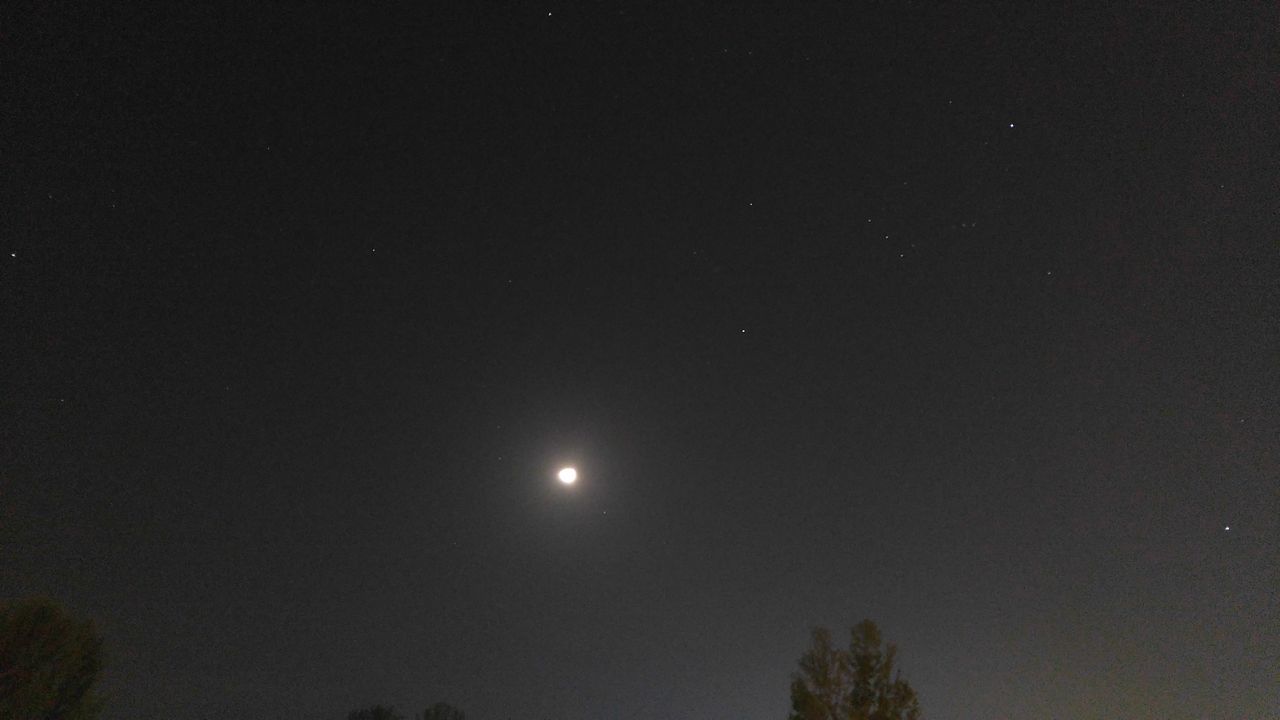 LOW ANGLE VIEW OF MOON AGAINST SKY AT NIGHT