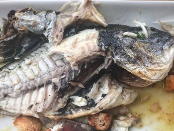 High angle view of fish on barbecue