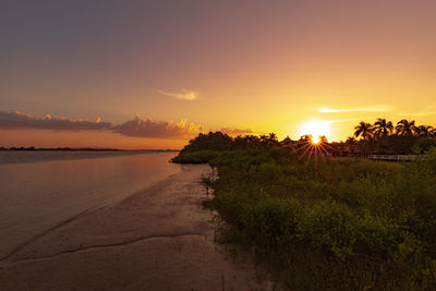 Beautiful yellow sunset at suriname river in south america