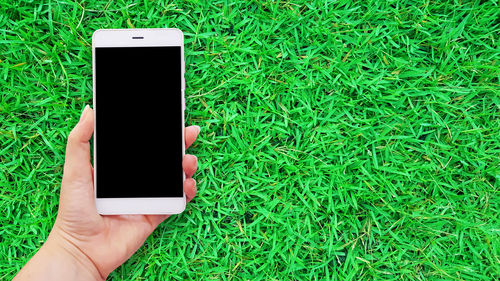 Cropped hand of woman holding smart phone over grass