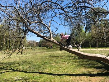 Man sitting on tree trunk against sky