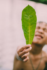 Close-up of boy holding leaf