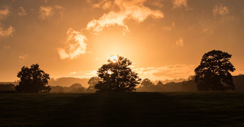 Silhouette trees on field against sky at sunset