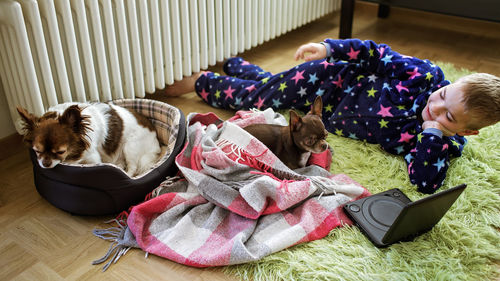 Boy lays next to battery and watches movie. chihuahua dogs with him. issue of heating or kid leisure