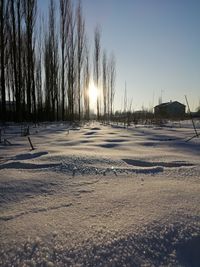 Scenic view of snowy field against clear sky during winter