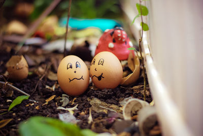 Close-up of anthropomorphic face on eggs on field