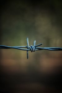 Close-up of barbed wire