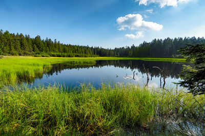 Scenic view of lake by trees against sky