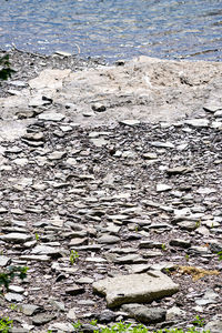 High angle view of rocks on beach