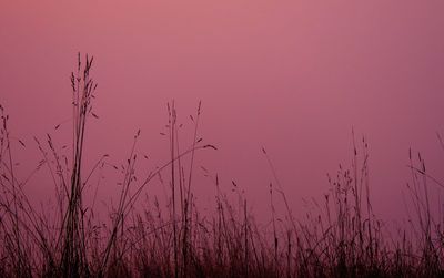 Scenic view of landscape against sky at sunset