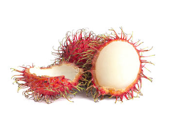 Close-up of fruit against white background