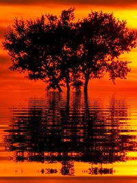 Silhouette tree by sea against orange sky