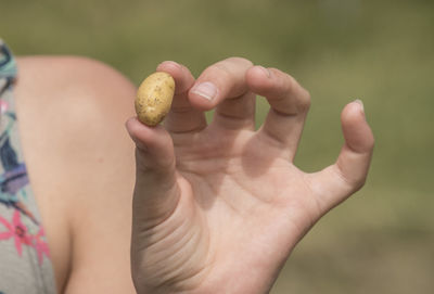 Close-up of hand holding fruit