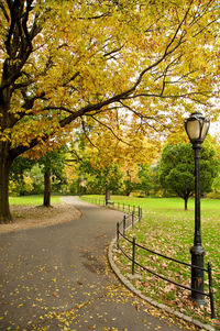 Street amidst trees in park during autumn