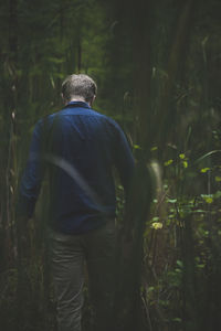 Rear view of man walking amidst plants in forest