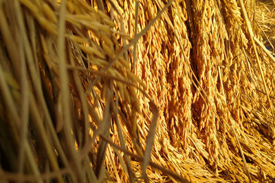 Full frame shot of hay bales