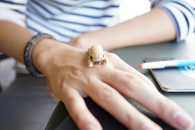 Close-up of cropped hand holding plant