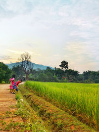 Scenic view of field against sky
