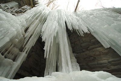 Close-up of snow covered landscape