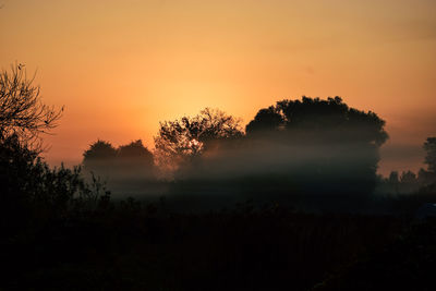 Silhouette trees on landscape against sky during sunset