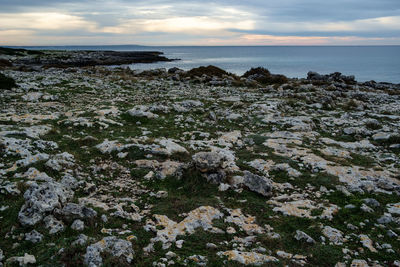 Scenic view of sea shore against sky