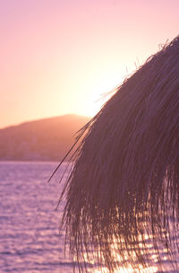 Scenic view of sea against clear sky during sunset