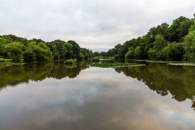 Scenic view of lake by trees against sky