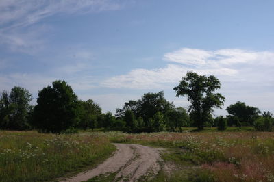 Dirt road amidst trees on field against sky