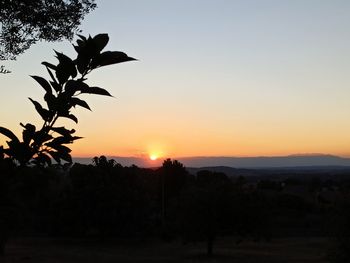 Silhouette trees against sky during sunset